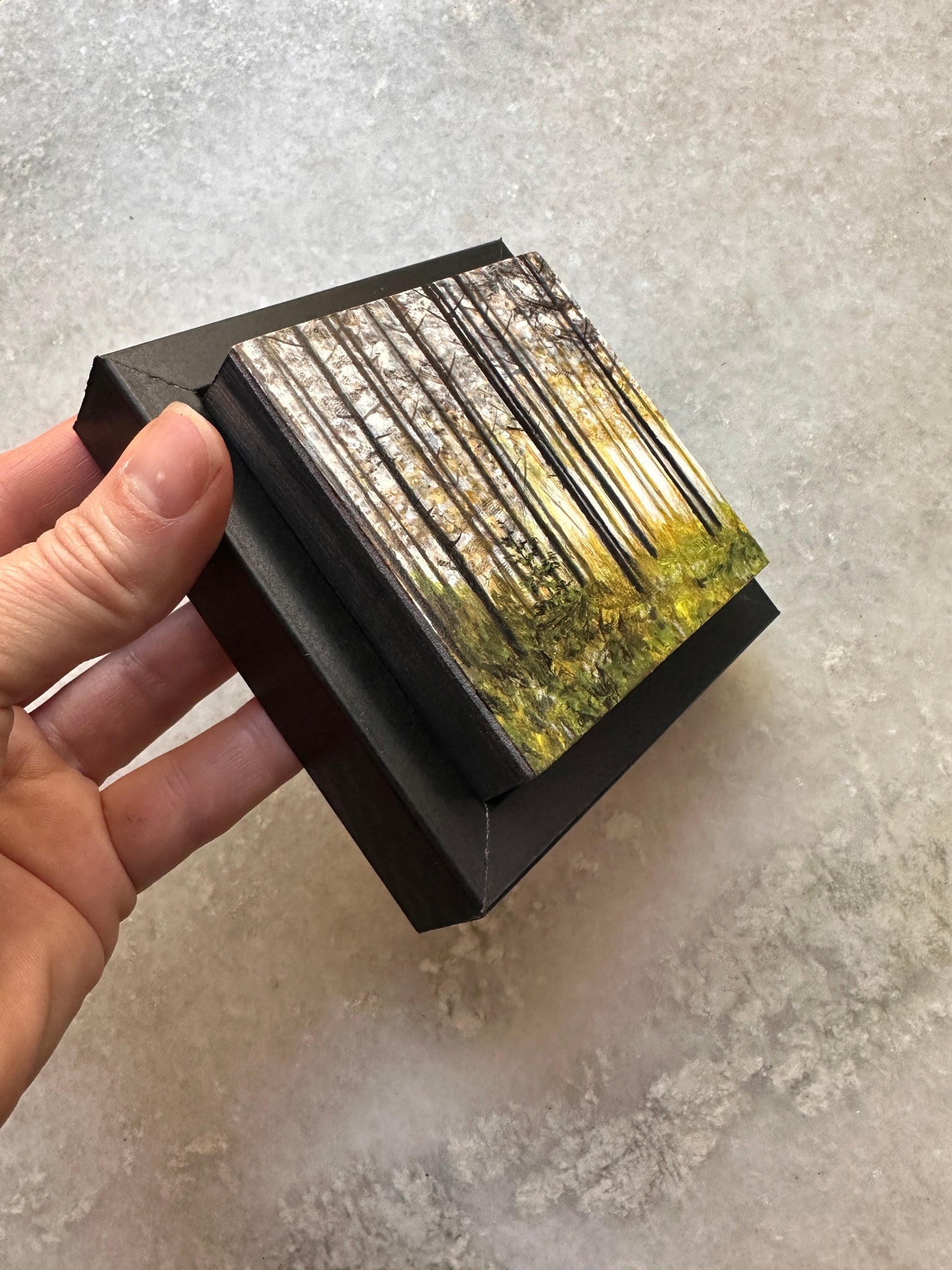 Tiny Window, Infinite Wild 3