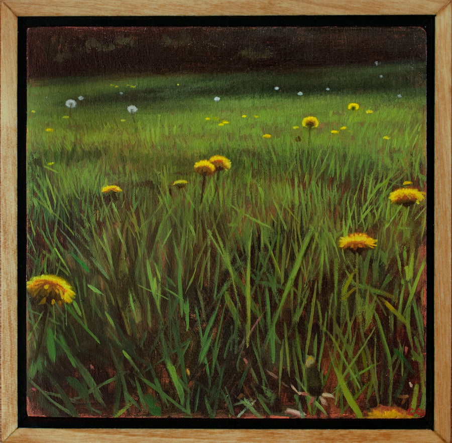 Lawnscape III
