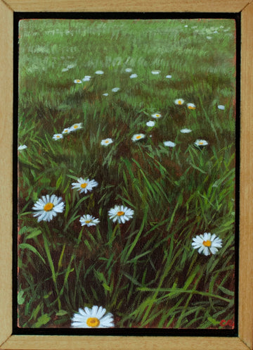Lawnscape IV
