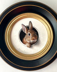 Mini Lapin