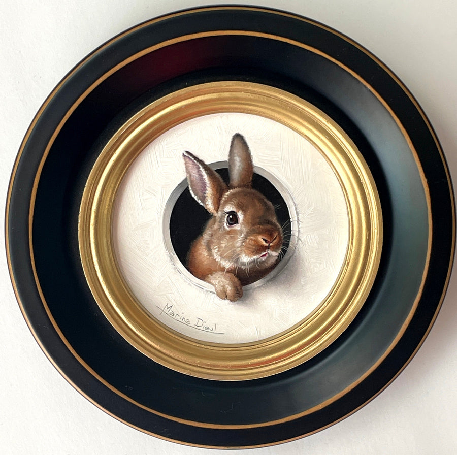 Mini Lapin