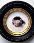 Petite Souris Snacking