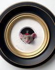 "Petite Souris - Playtime"