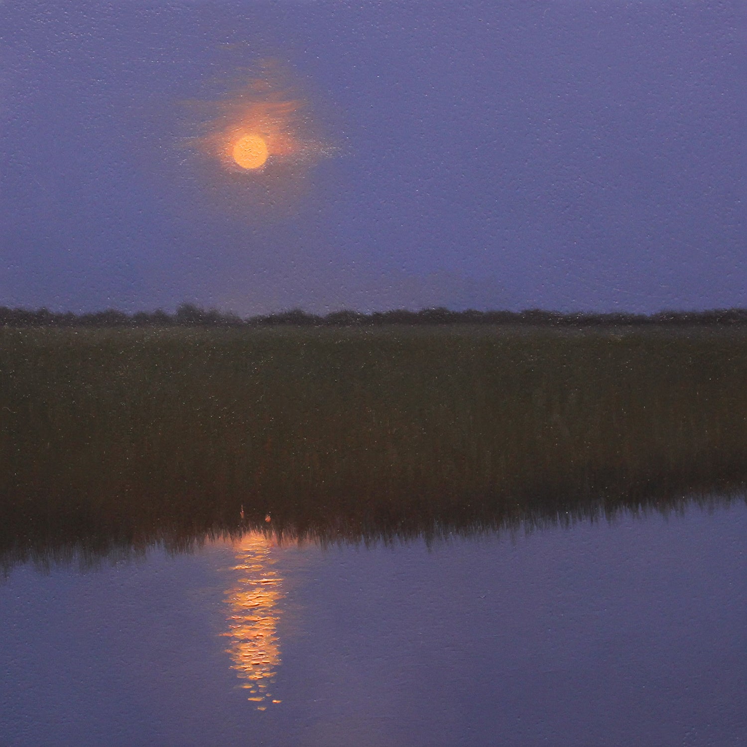 Marsh Moon Study