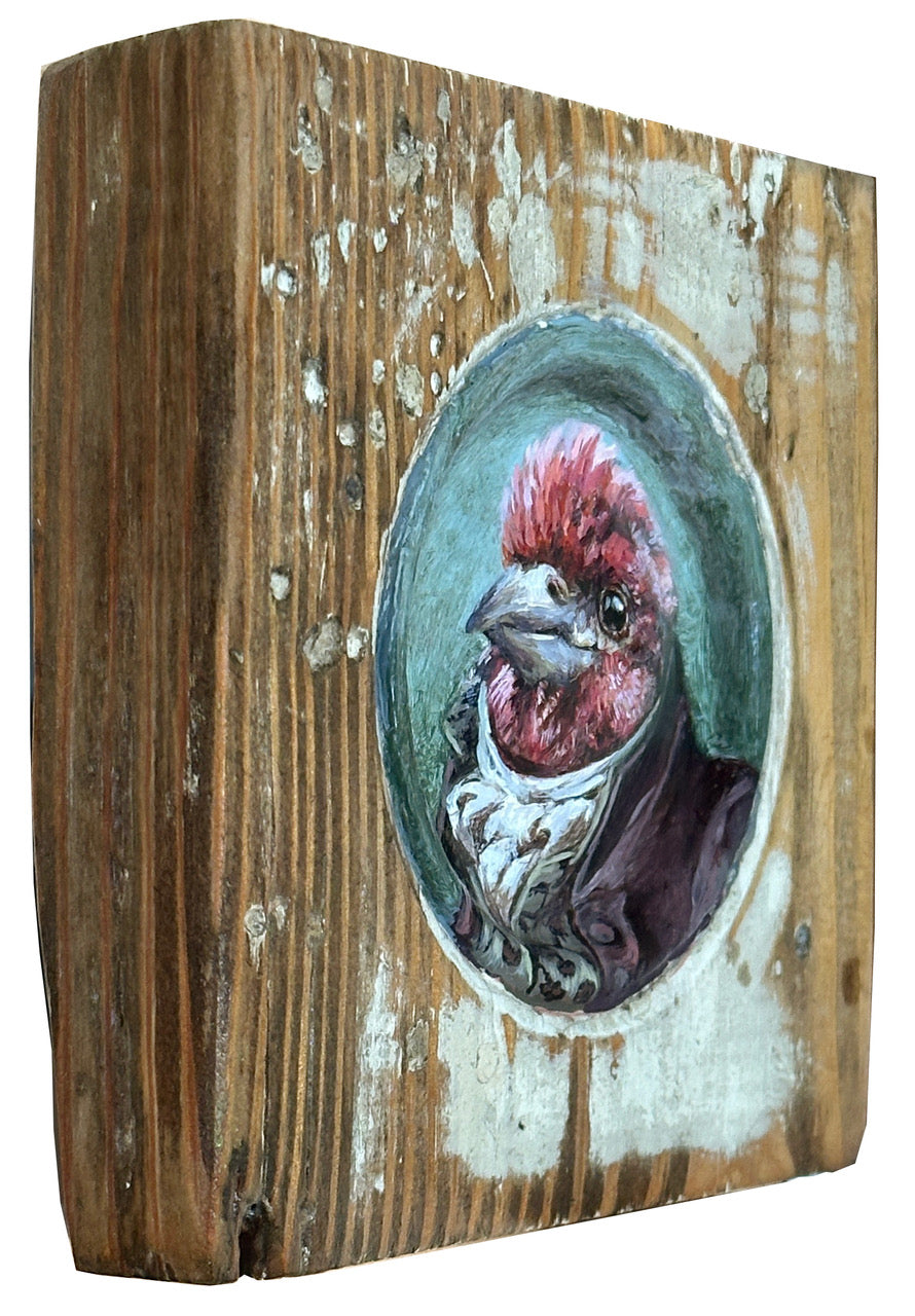 Mr. Purple Finch