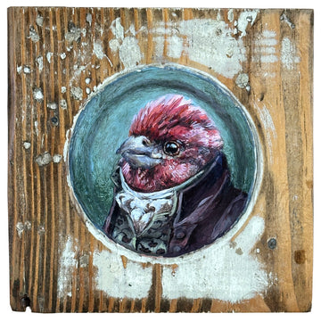 Mr. Purple Finch