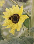 Pollinators