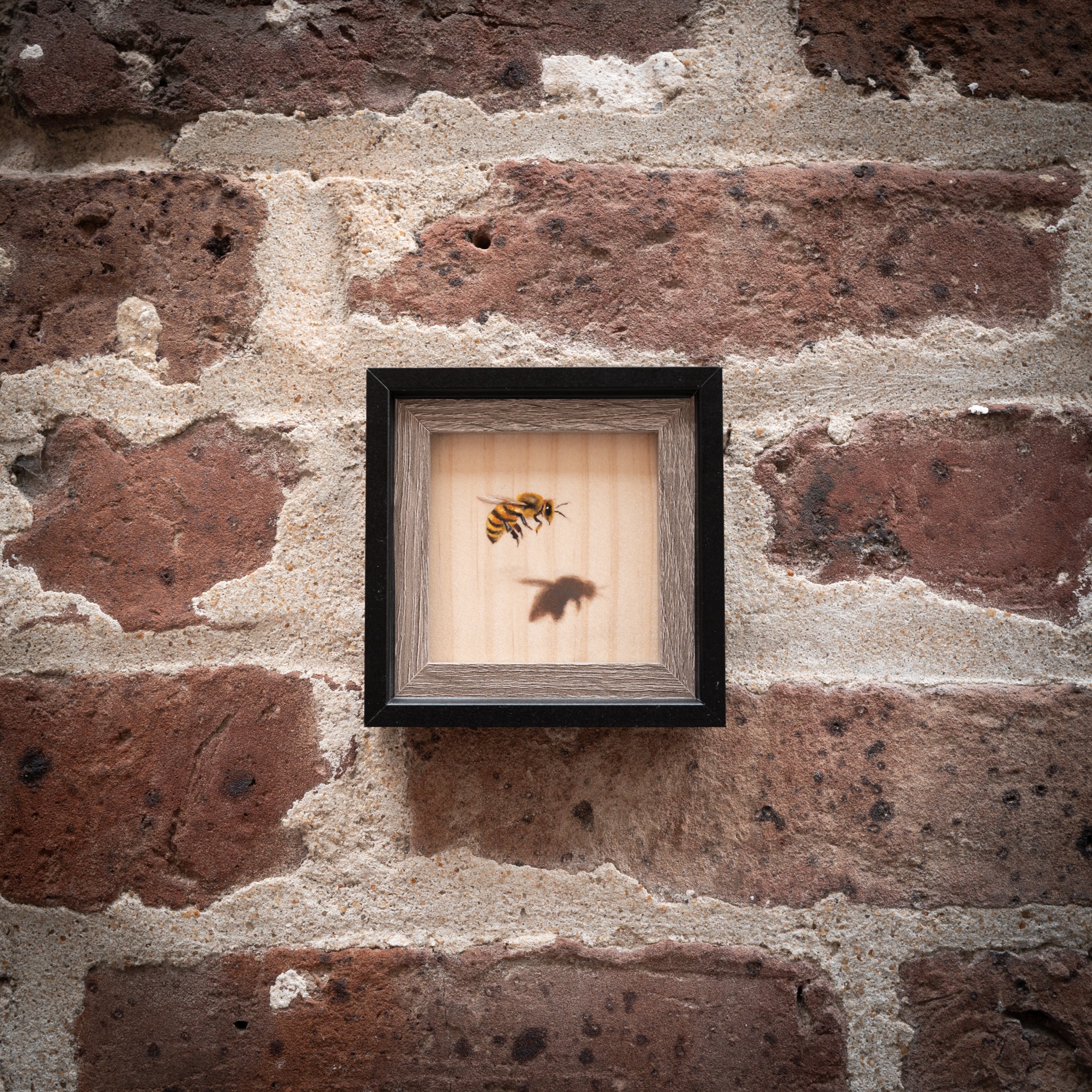 A Honeybee Named Magritte