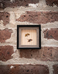 A Honeybee Named Magritte