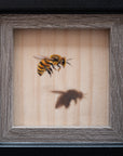 A Honeybee Named Magritte
