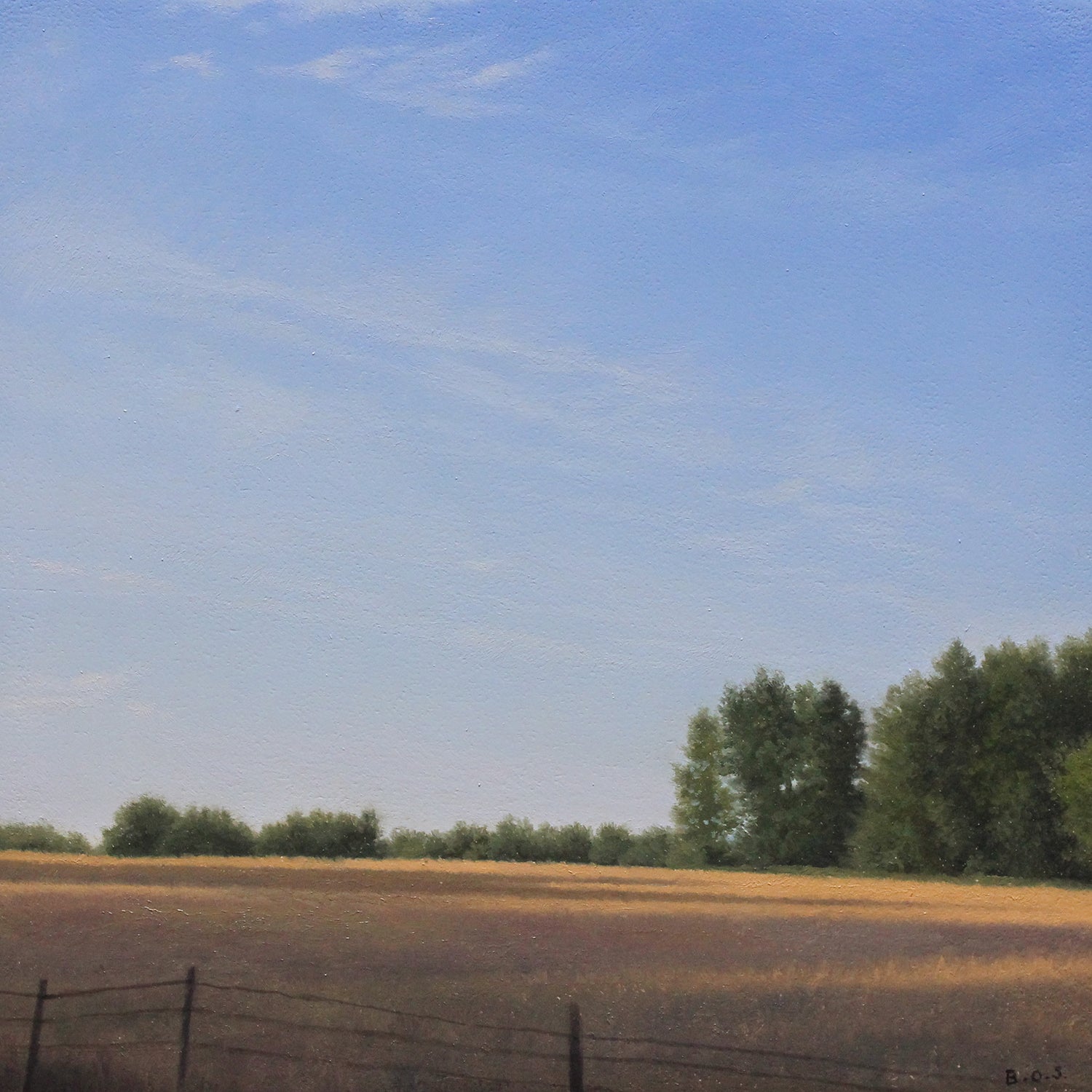 September Field -Study