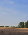 September Field -Study