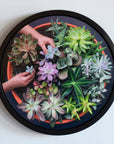 Succulent Garden II