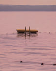 The Last Square of Summer