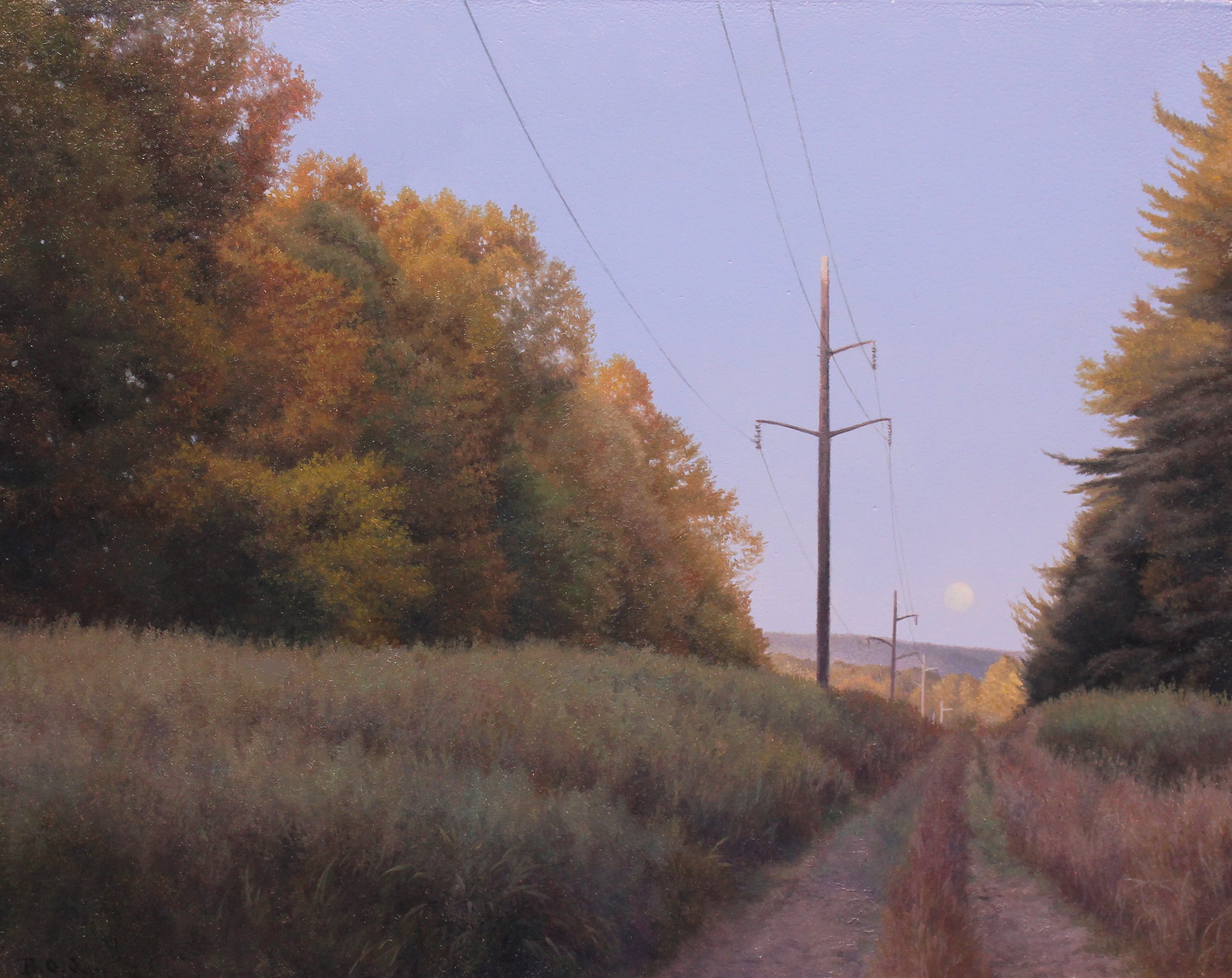 The Long Way Home
