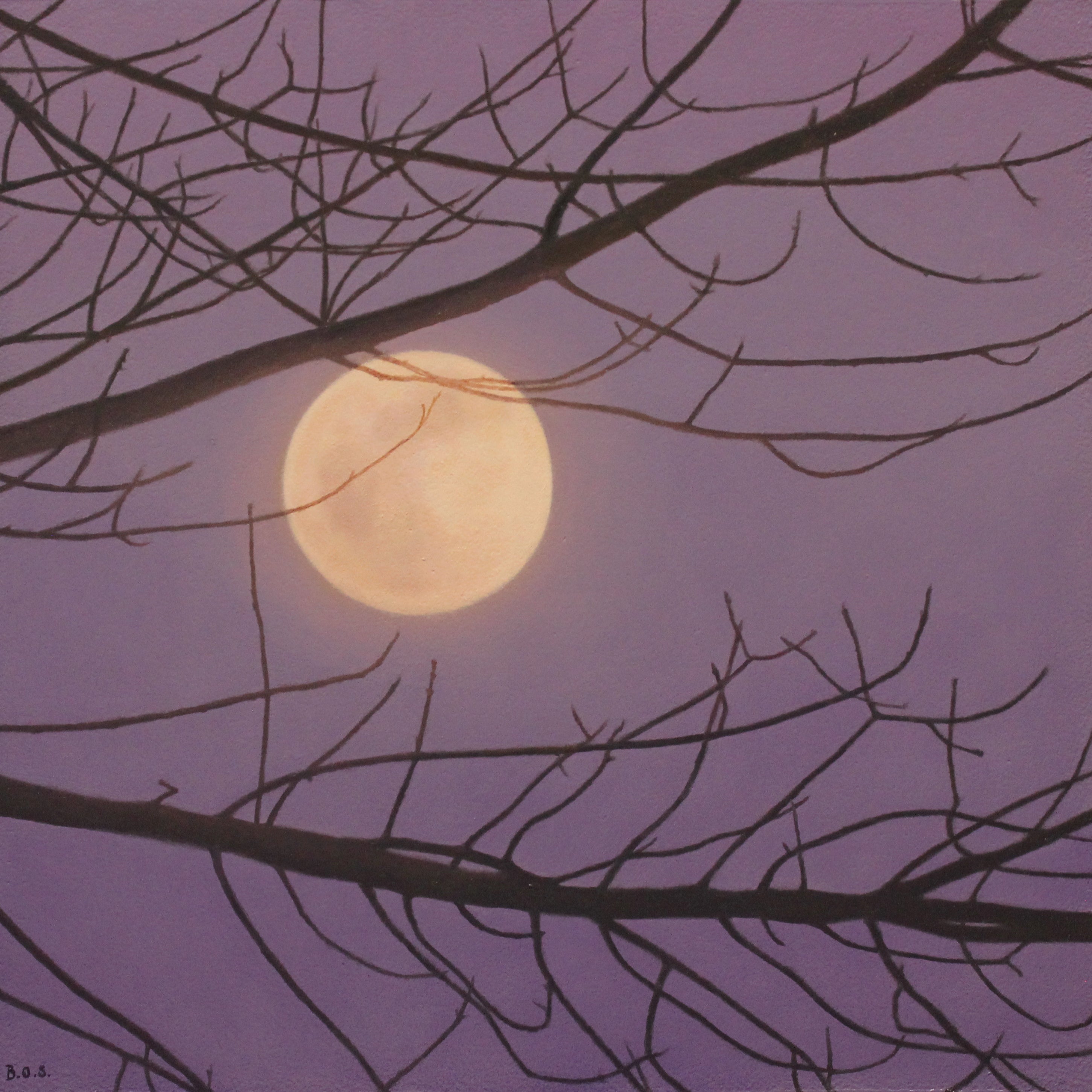 Through the Branches