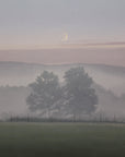 Together at Dawn