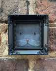 Up Cat