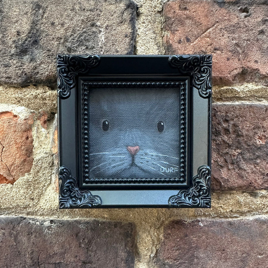Up Cat