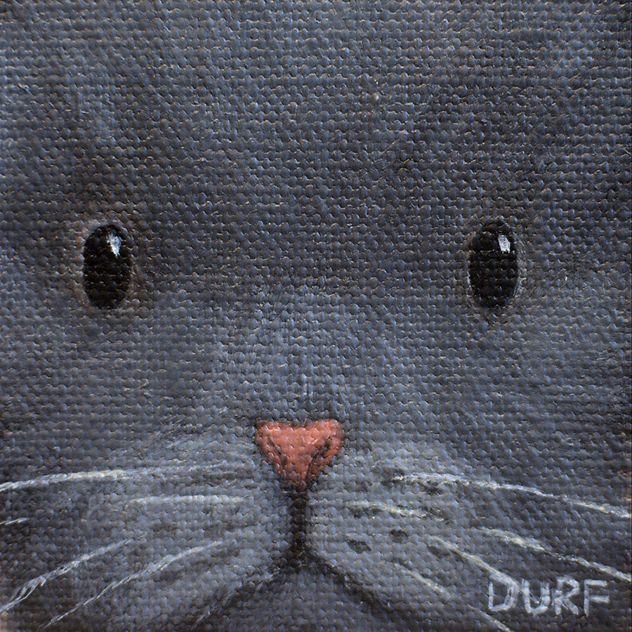 Up Cat