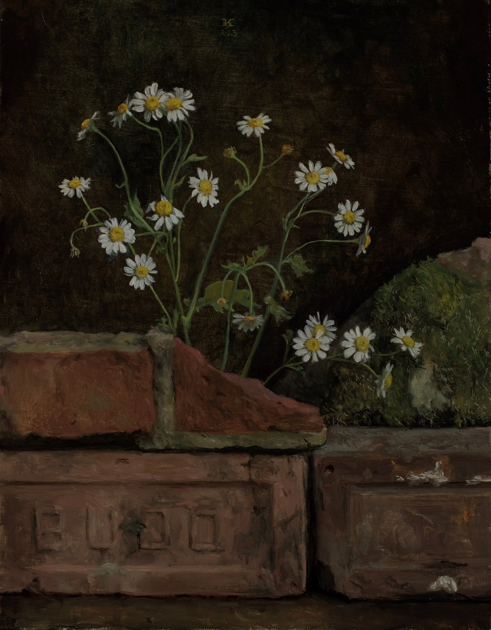 Bricks with Feverfew