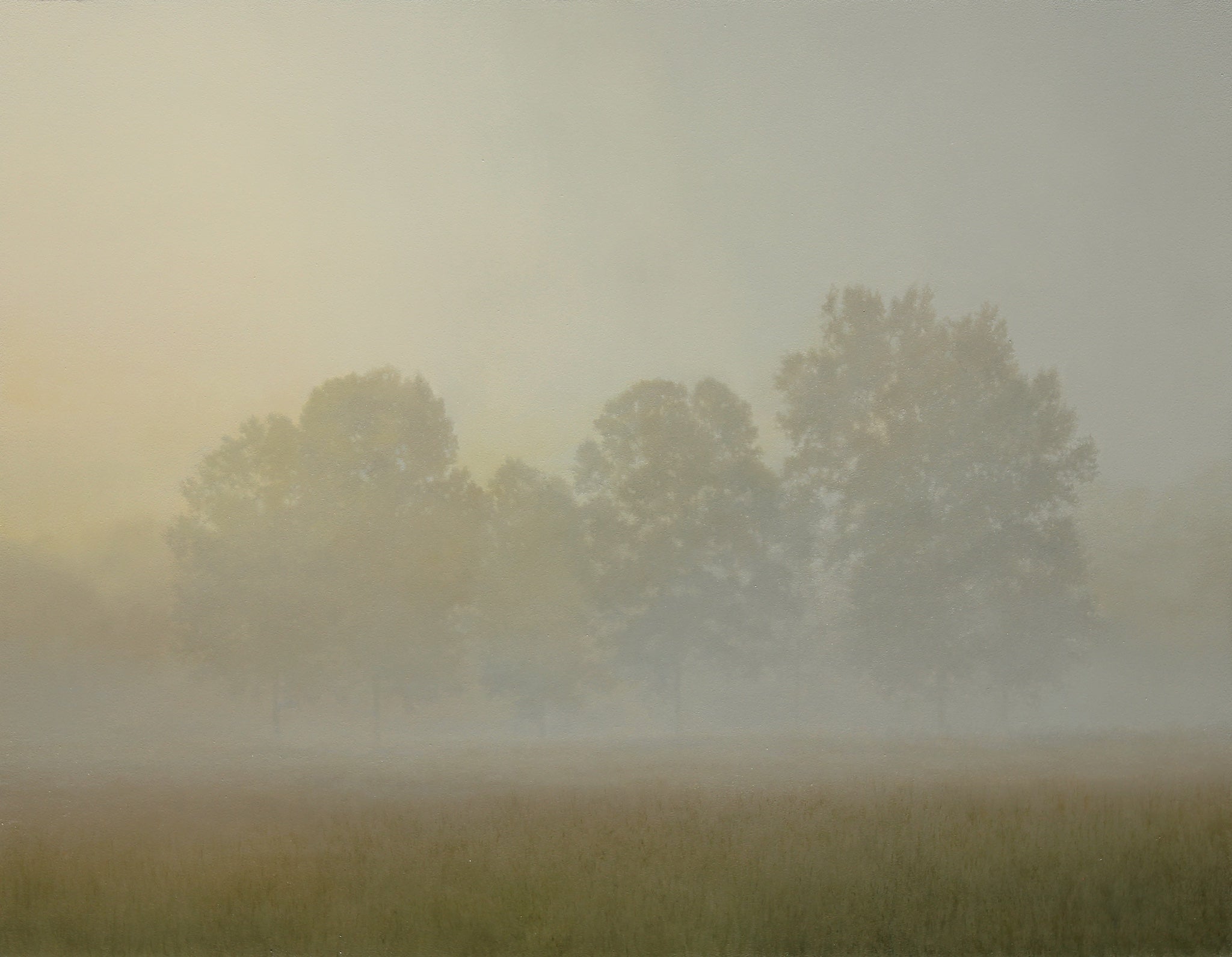 Late September Haze