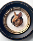 Mini Lapin 56