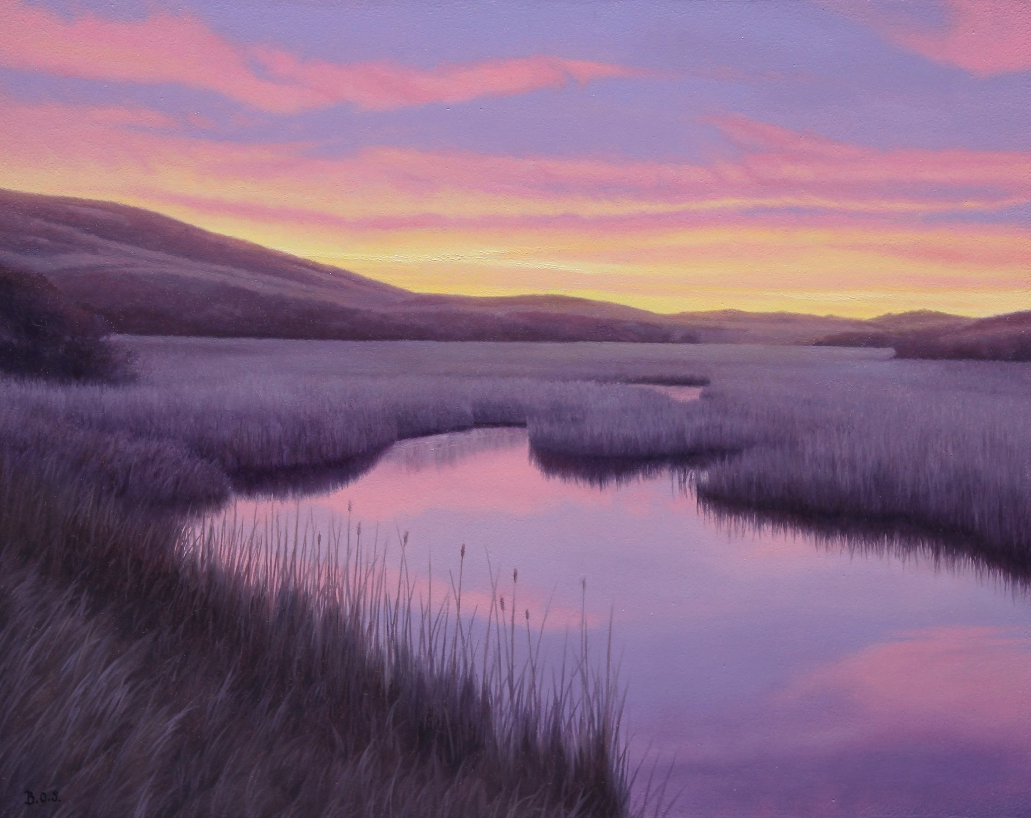 Violet Wetland