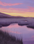 Violet Wetland