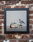 Silk Sanctuary (Juvenile Eastern Bluebird)