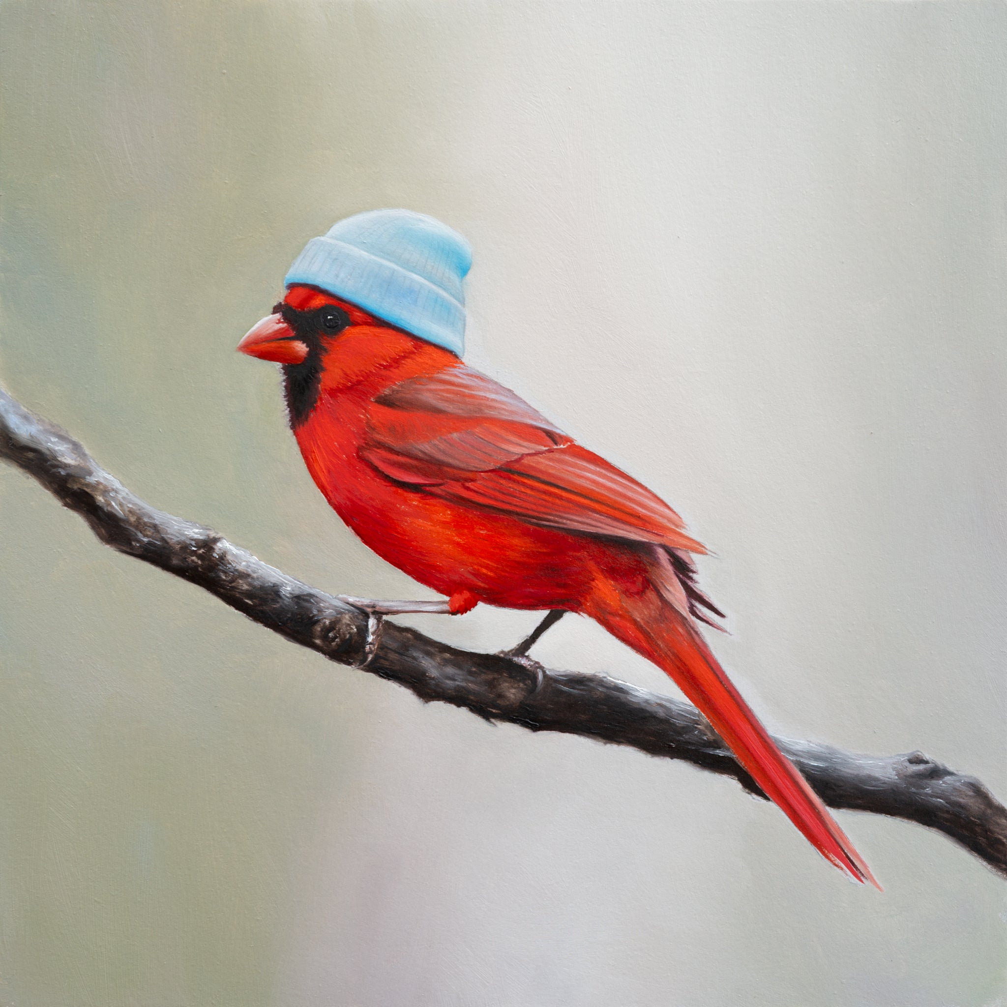 Boho Cardinal