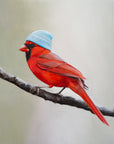 Boho Cardinal