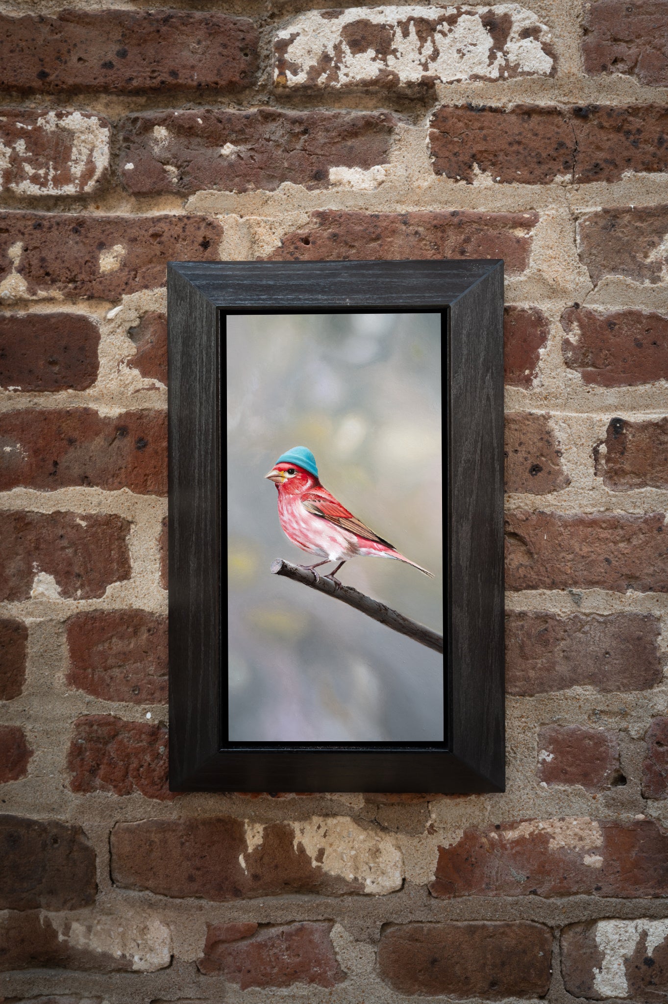 Boho Finch