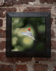 Boho Hummingbird
