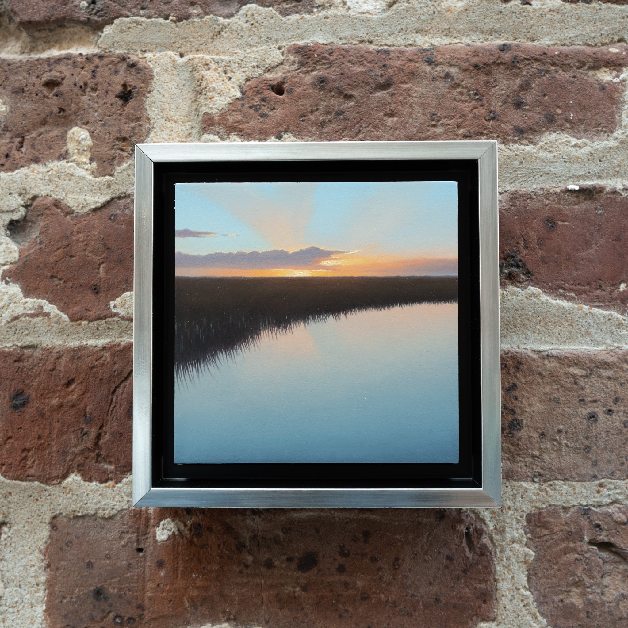 Alligator Morning (Study)