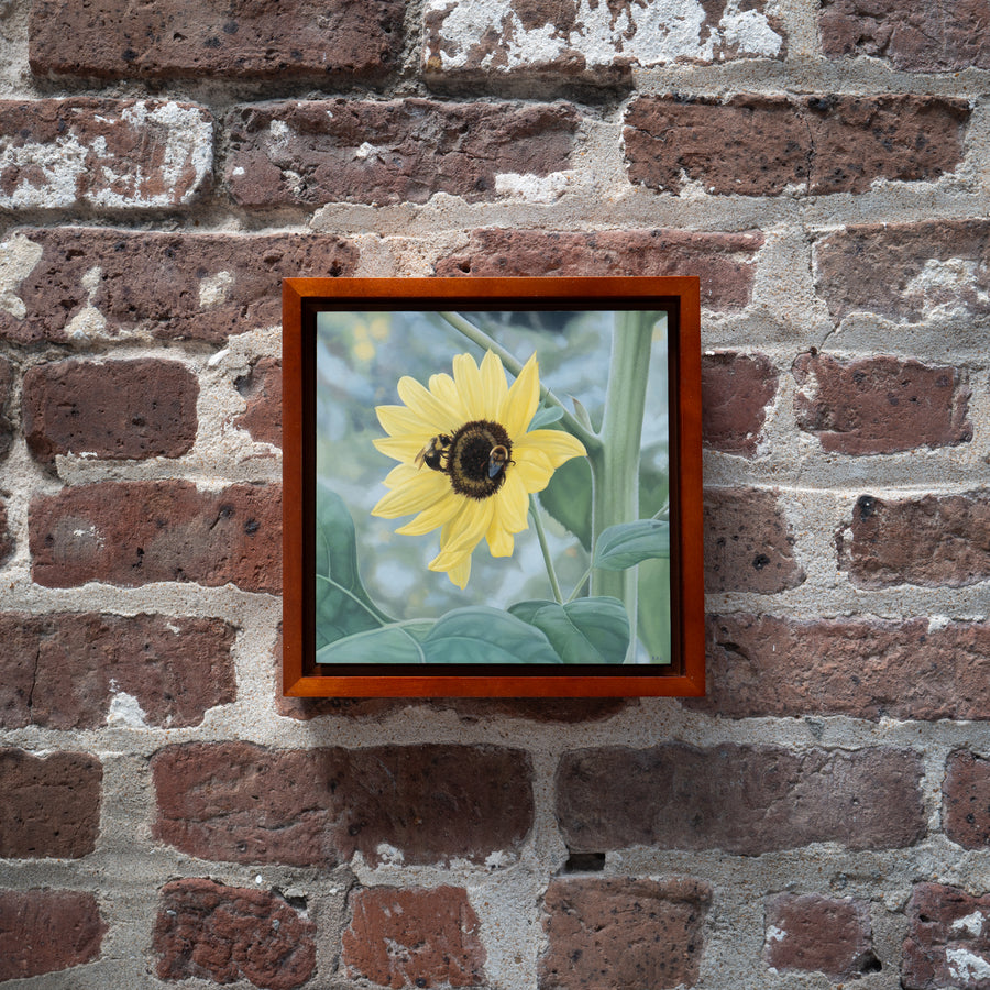Pollinators