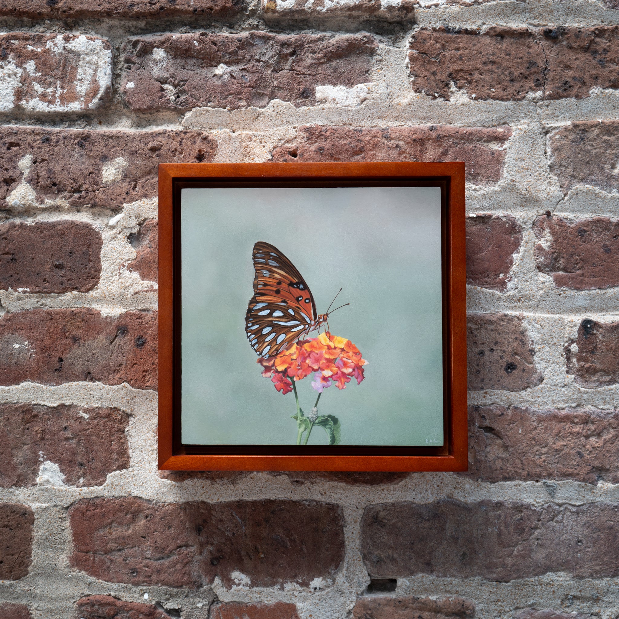 Gulf Fritillary