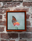 Gulf Fritillary