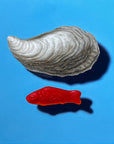 Shell Fish I