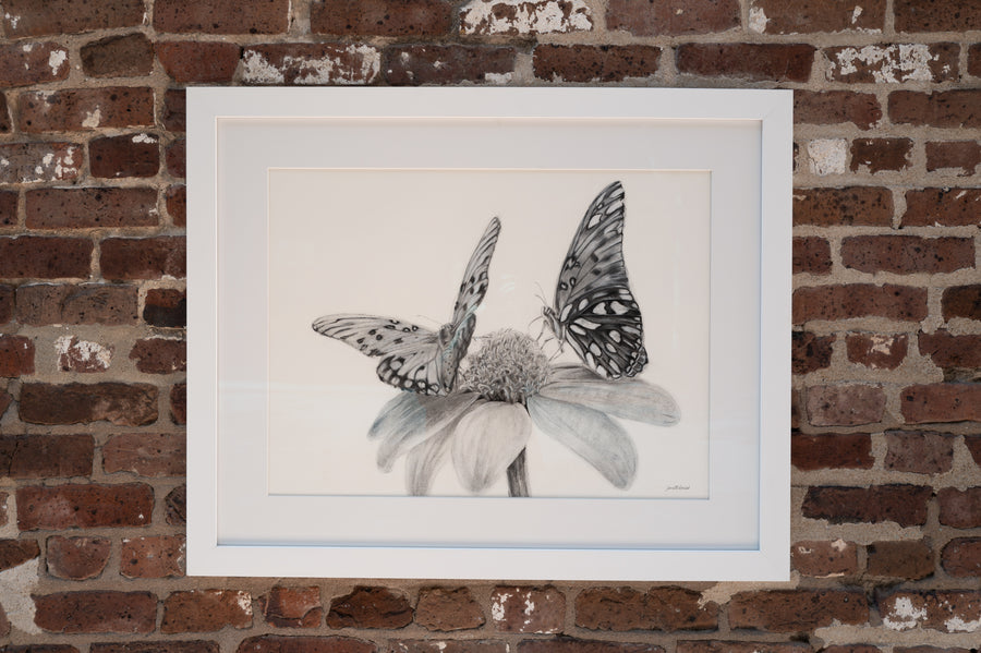 Fritillaries