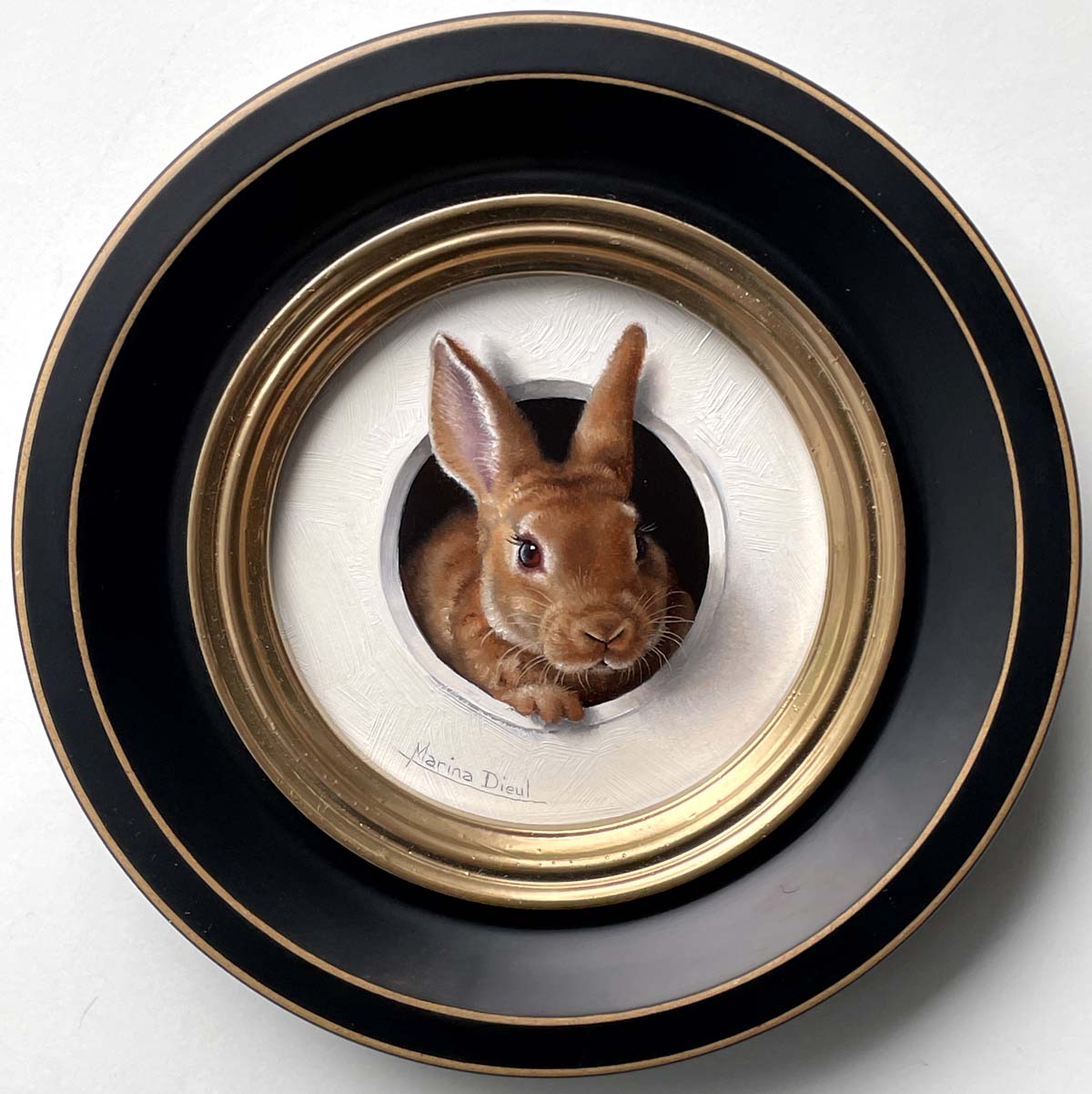 "Petite Lapin" - Furry Visitor