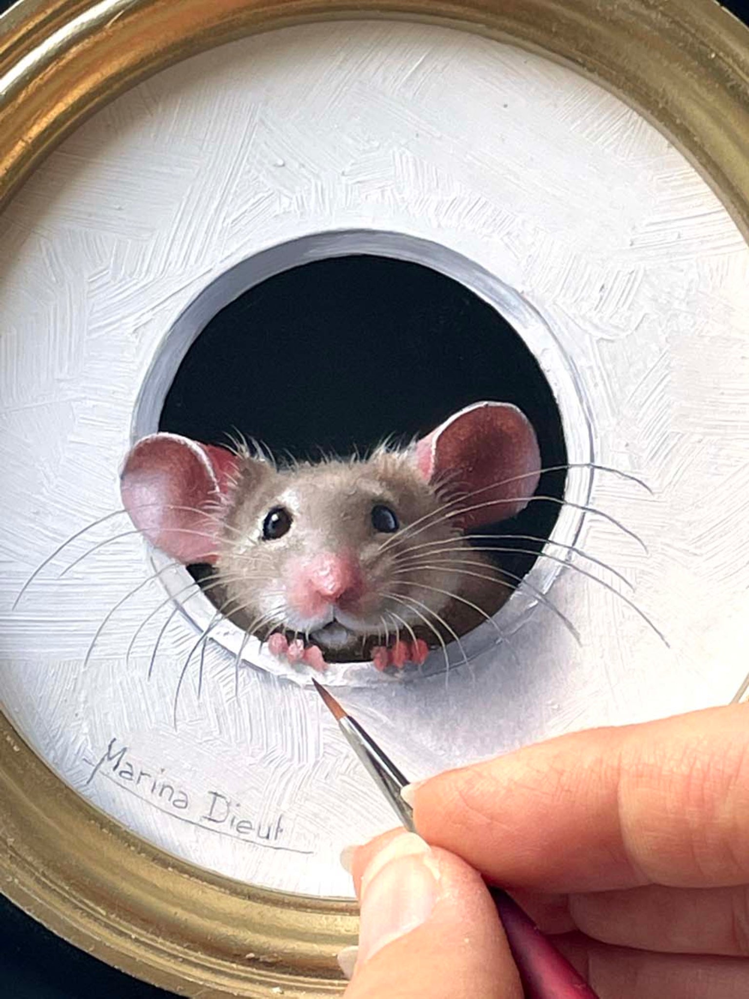 Petite Souris - Peeking Over