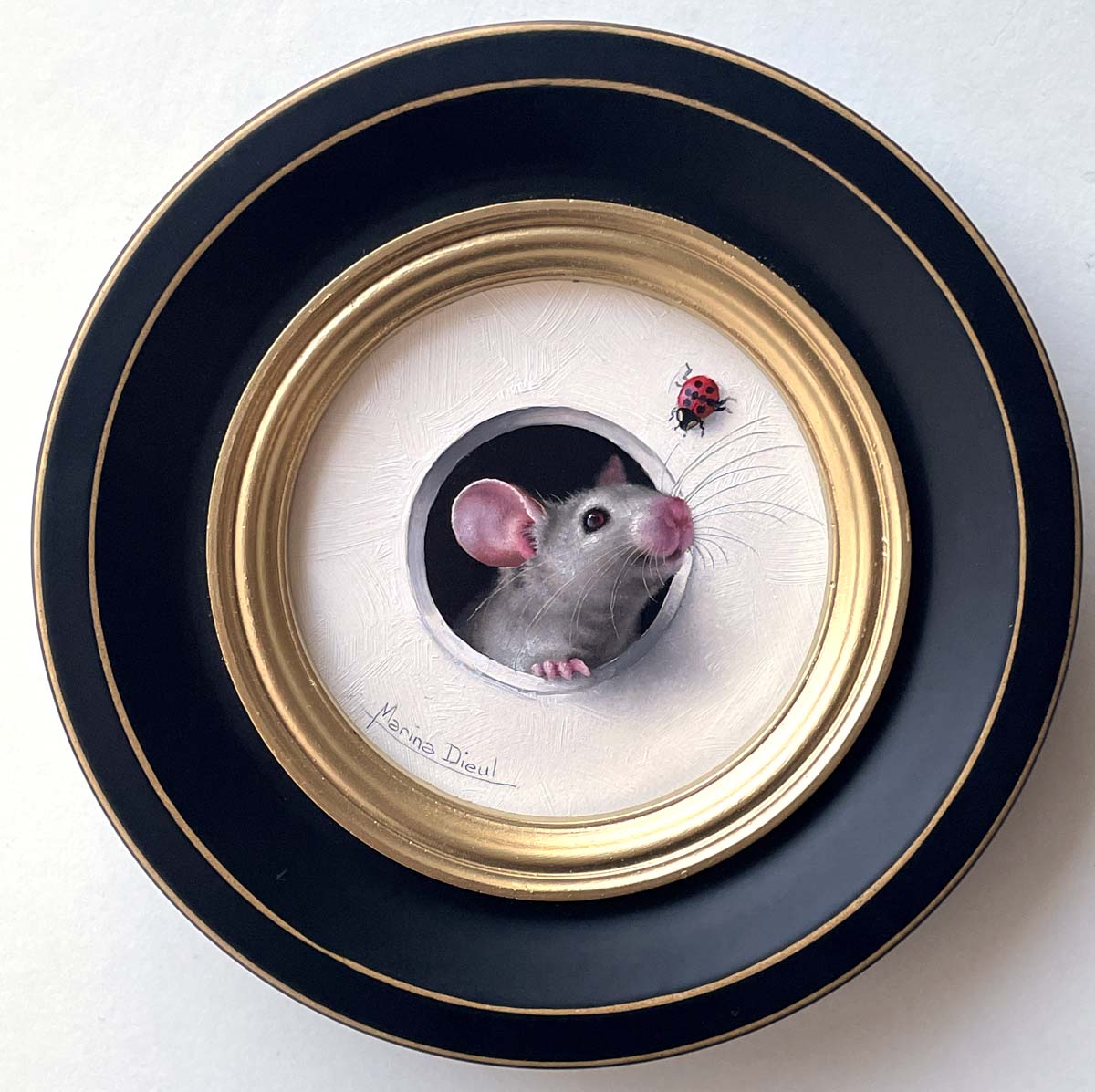 Petite Souris - Ladybug