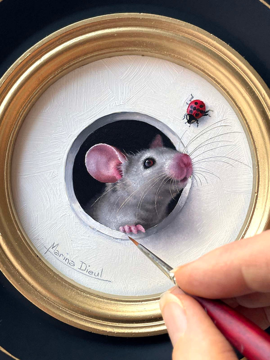 Petite Souris - Ladybug