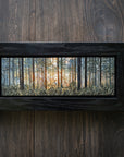 Found in the Forest