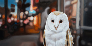 Night Owl