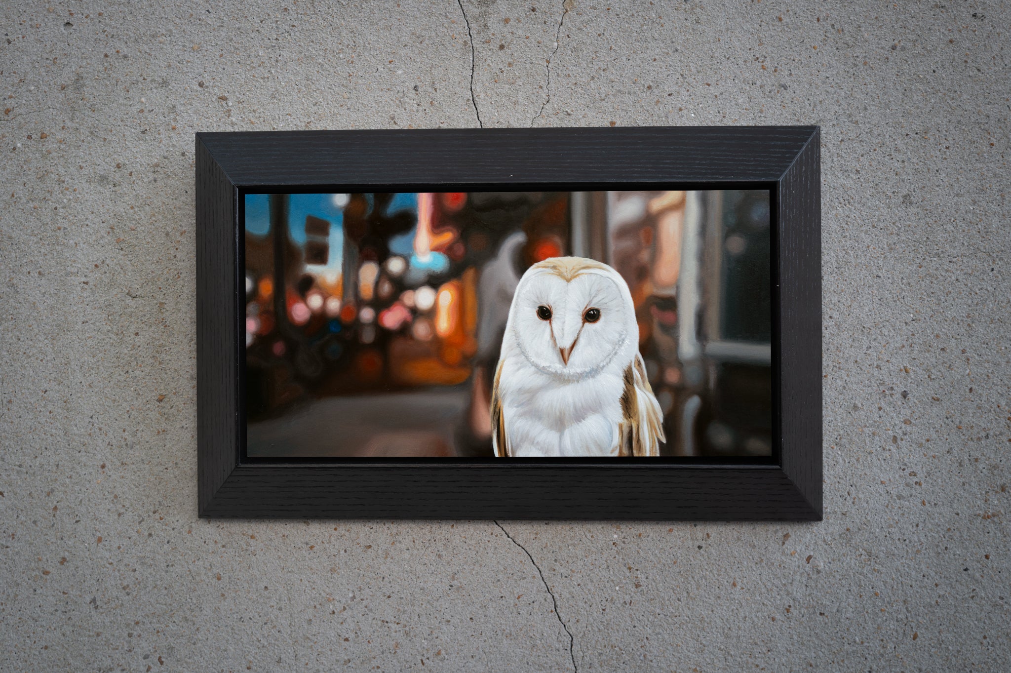 Night Owl