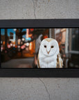 Night Owl