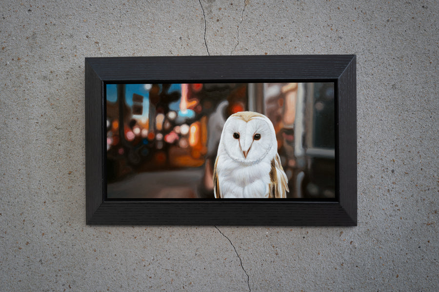 Night Owl