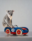 Nice Ride